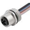 Кабельная сборка MURRELEKTRONIK Серия 7000 M12 Straight Female 4 контакта 1м 1441240