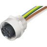 Разъем MURRELEKTRONIK 7/8" прямой 5 контактов Female 8272806